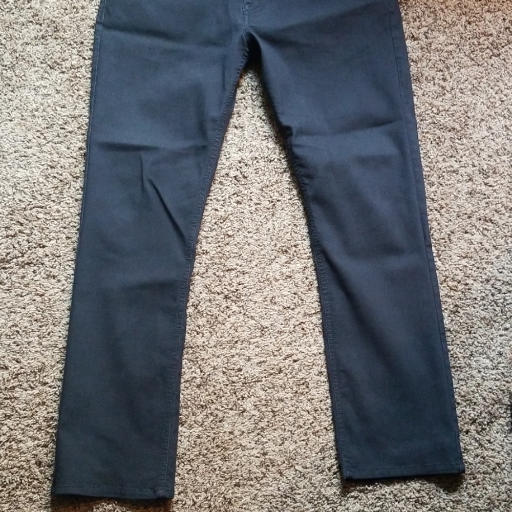 Dress pants